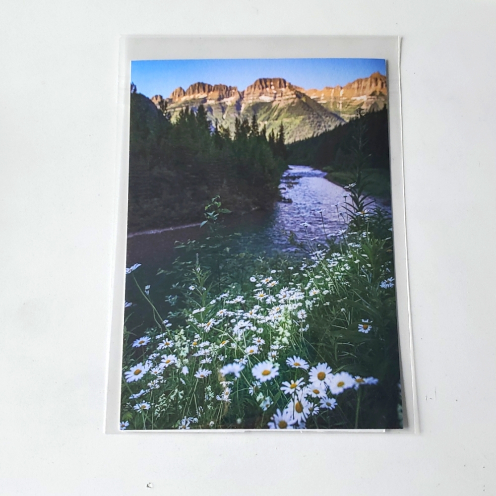 "Daisy Daydream" 5x7 Matte Paper Flower Photograph by Karen Geerken Photography